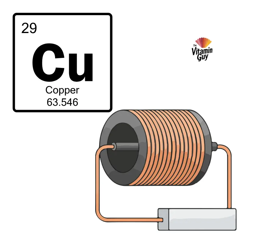 Copper nutrient profile image for The Vitamin Guy Learn Hub