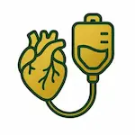 Targeted mobile IV therapy protocol — The Vitamin Guy Gold Coast